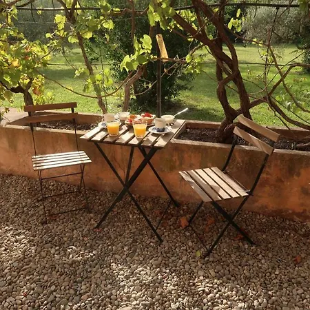 Mas Des Roses Villa Cavaillon